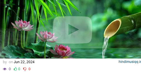 Relaxing Piano Music + Insomnia and Healing 🌿 Relaxing Music, Sleep Music, Meditation, Nature Sound pagalworld mp3 song download