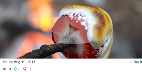 10 BEST Campfire snacks!!!! Camping foods and Campfire Cooking. pagalworld mp3 song download