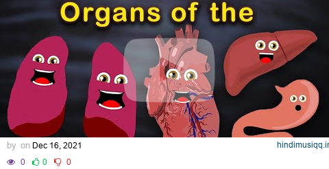 Organs of the Human Body Songs  | Anatomy Education Songs pagalworld mp3 song download