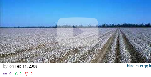 Credence Clearwater Revival - Cottonfields pagalworld mp3 song download