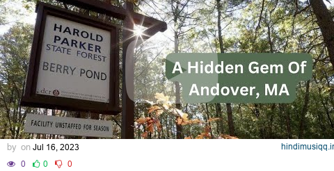 Harold Parker State Forest | Andover, MA With Best Realtor Matt Witte pagalworld mp3 song download