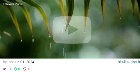 rain - Listen to the rain on the forest path, relax, reduce anxiety, and sleep deeply pagalworld mp3 song download