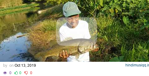 My PB (7.1) catch in Florida pagalworld mp3 song download