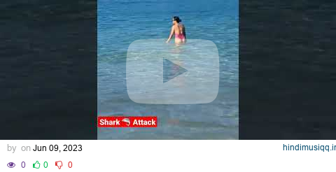 🇧🇷 Shark Attack | Rio De Janeiro Atlantic Ocean #shark #travel #subscribe #comedy #brazil #ocean pagalworld mp3 song download