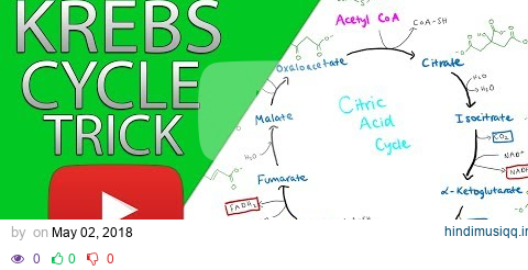 Krebs Cylcle Trick  How to remember krebs cycle FOREVER!! pagalworld mp3 song download