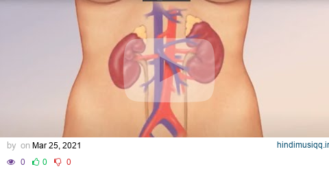 Watch How Kidneys Actually Work pagalworld mp3 song download