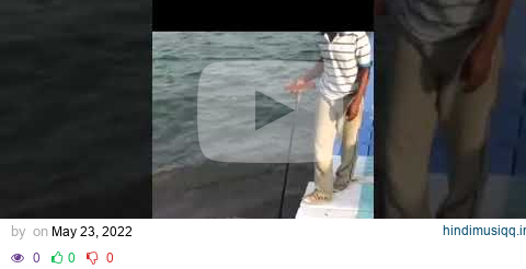 THAT'S WHY SHARK ATTACK PEOPLE IN EGYPT #shorts pagalworld mp3 song download