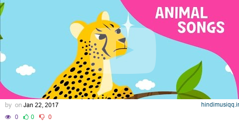 Cheetah Bang Bang | Cheetah | Animal Songs | Pinkfong Songs for Children pagalworld mp3 song download