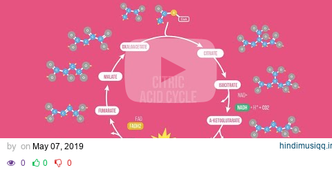 CITRIC ACID CYCLE SONG | Science Music Video pagalworld mp3 song download