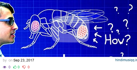 Evo-Devo (Despacito Biology Parody) | A Capella Science pagalworld mp3 song download